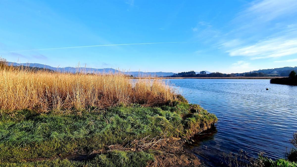 El LIC Sistema Fluvial Ulla-Deza, uno de los atractivos de la ruta en kayak.