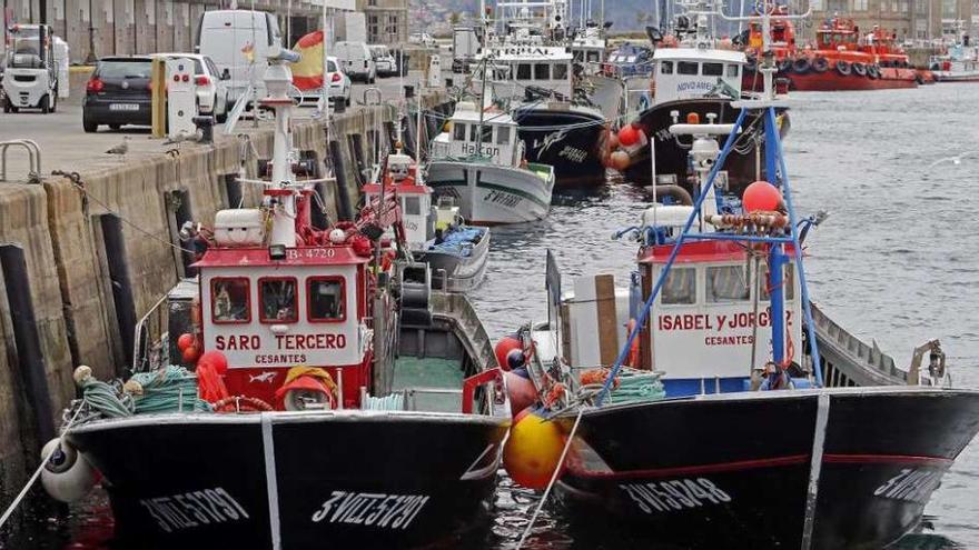 Barcos de cerco que permanecen amarrados en el puerto de Vigo. // Marta G. Brea