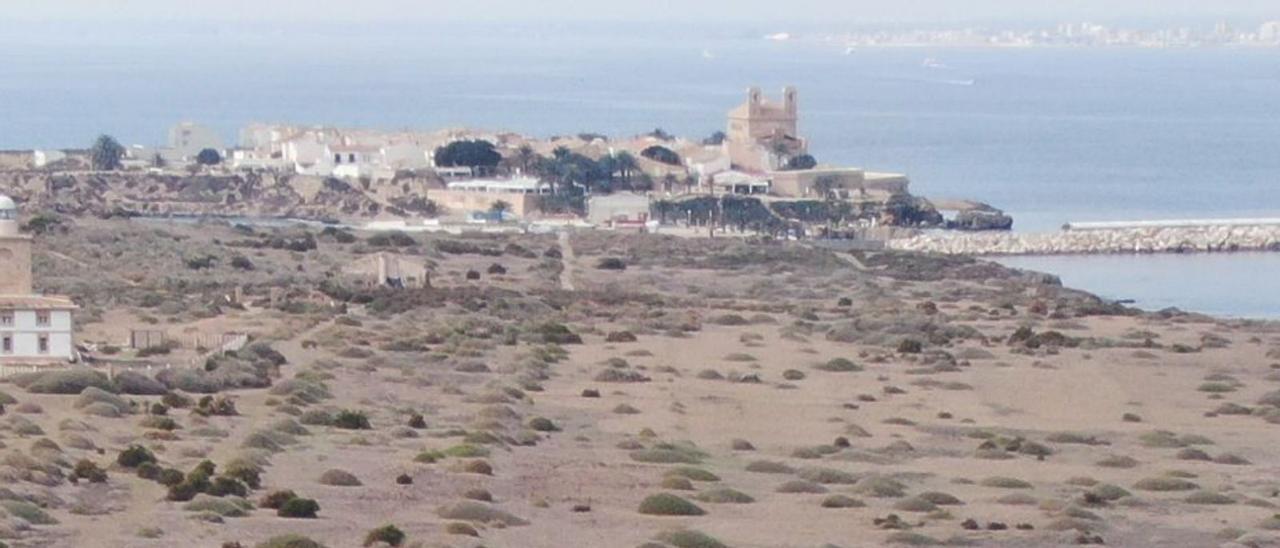 Imagen aérea del cementerio de Tabarca.  | INFORMACIÓN