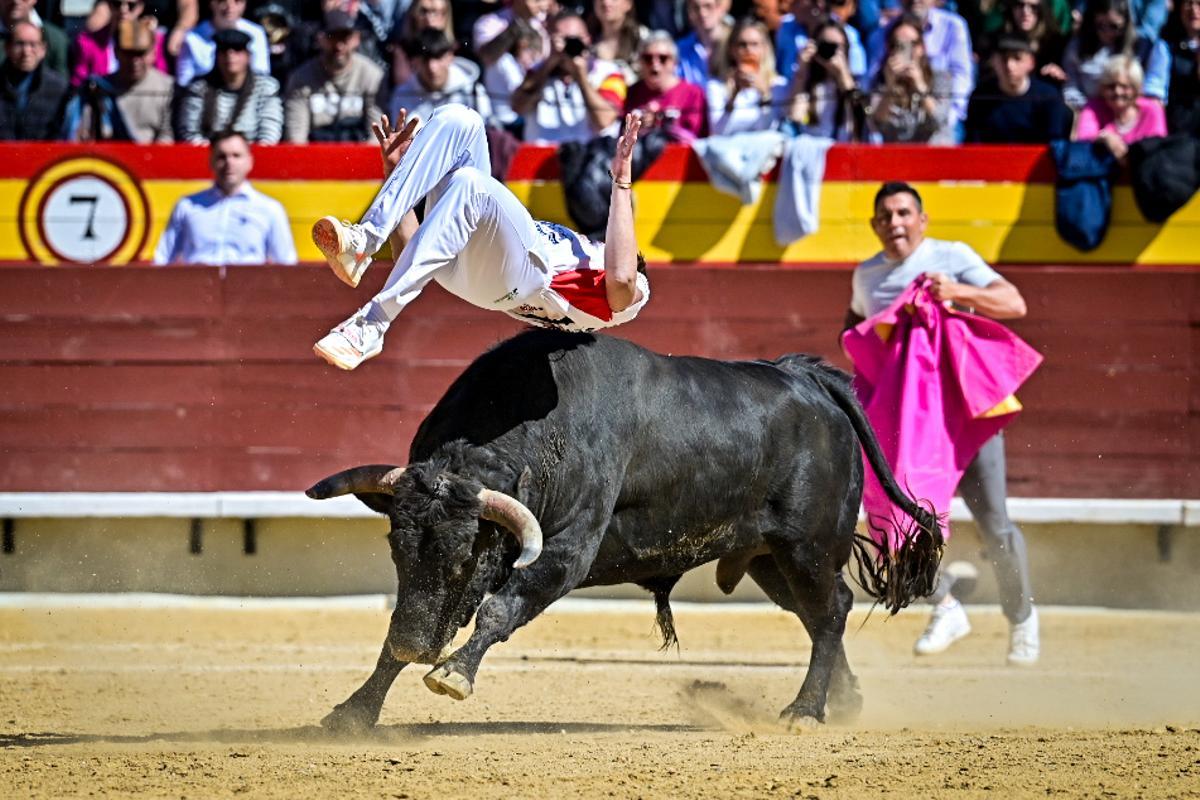 Concurso recortadores