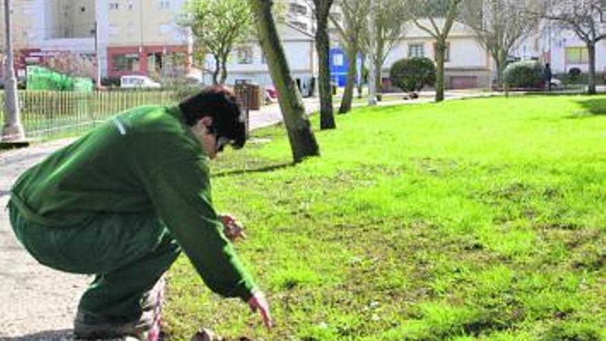 Mejoras en el Parque de La Poza de Navia