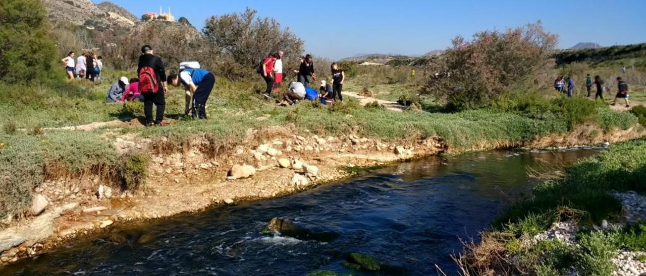 Las Cortes crean la Mesa del Vinalopó para impulsar la recuperación del río