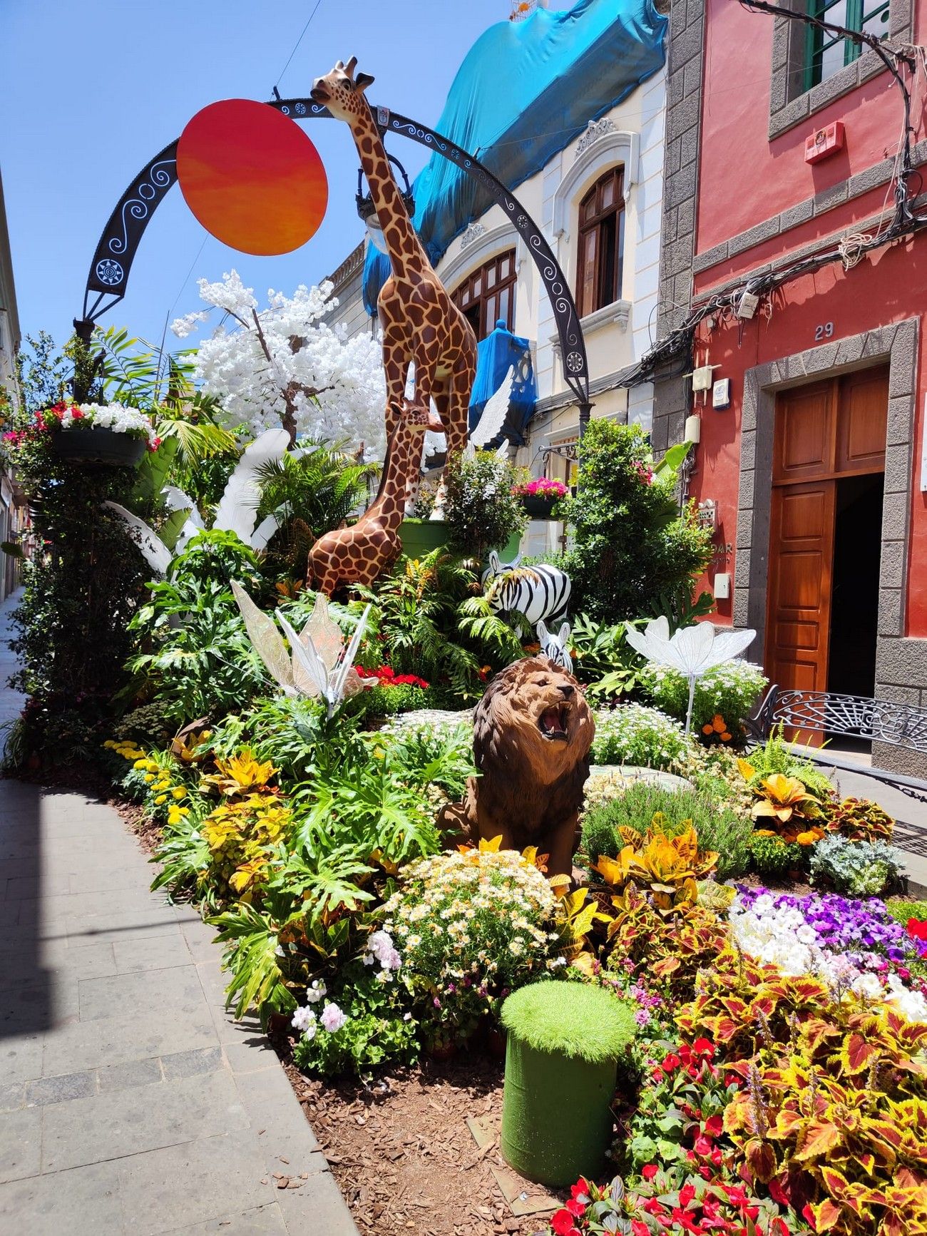 Florece Gran Canaria: Jornadas 'Arucas, piedra y flor' en Arucas y 'Gáldar en Flor'