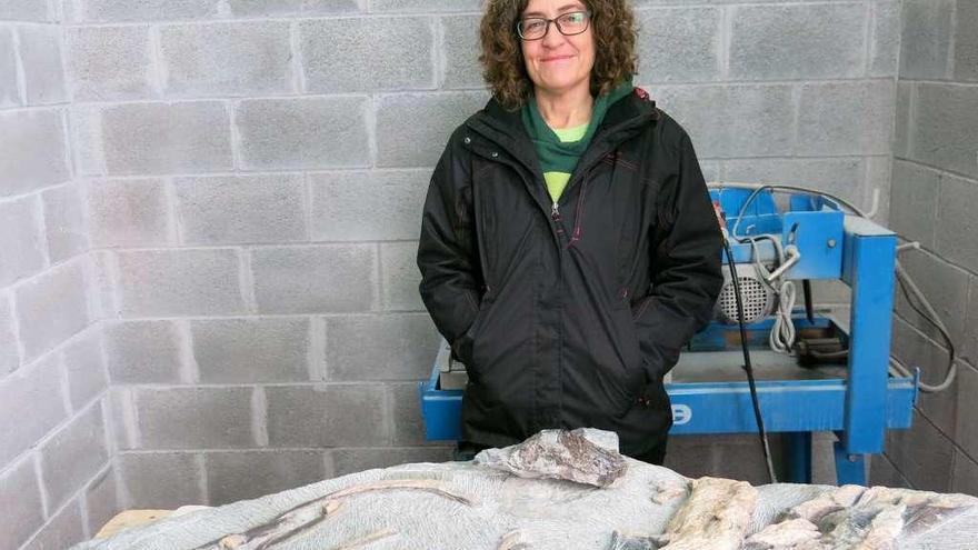 Laura Piñuela, doctora en Geología y miembro del equipo científico del Muja, con uno de los fósiles que está investigando en la actualidad.