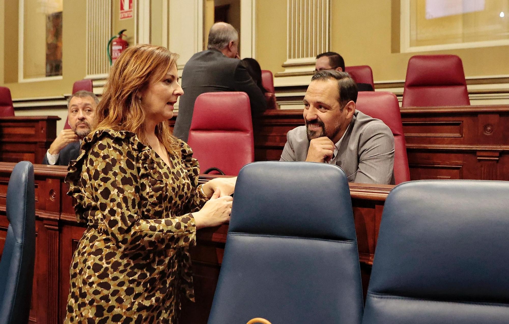 Pleno del Parlamento de Canarias