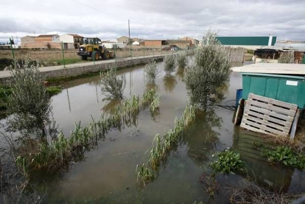 Fotogalería: La crecida del Ebro a su paso por Zaragoza