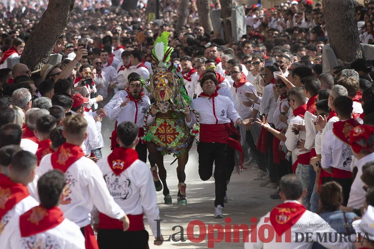 Así se ha vivido la carrera de los Caballos del Vino en Caravaca