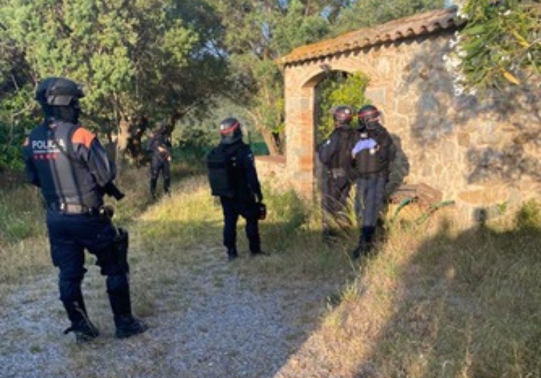 Els Mossos d’Esquadra desmantellen dues plantacions de marihuana a l’Empordà i detenen cinc persones