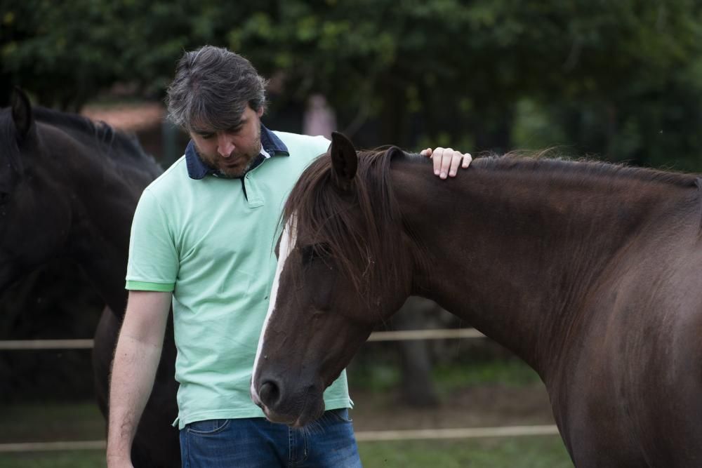 'Coaching' con caballos para empresarios