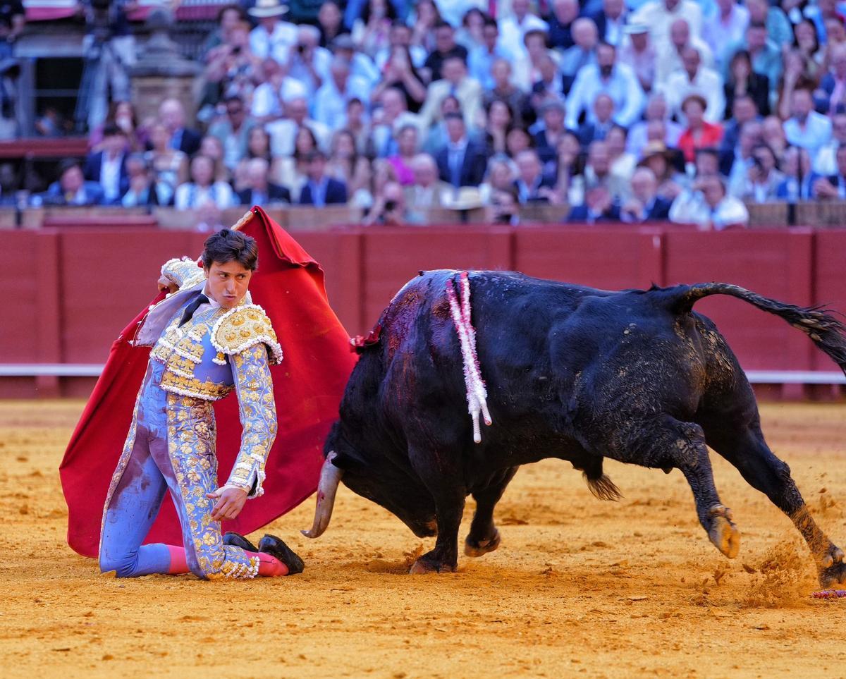 Roca Rey da un pase de rodillas.