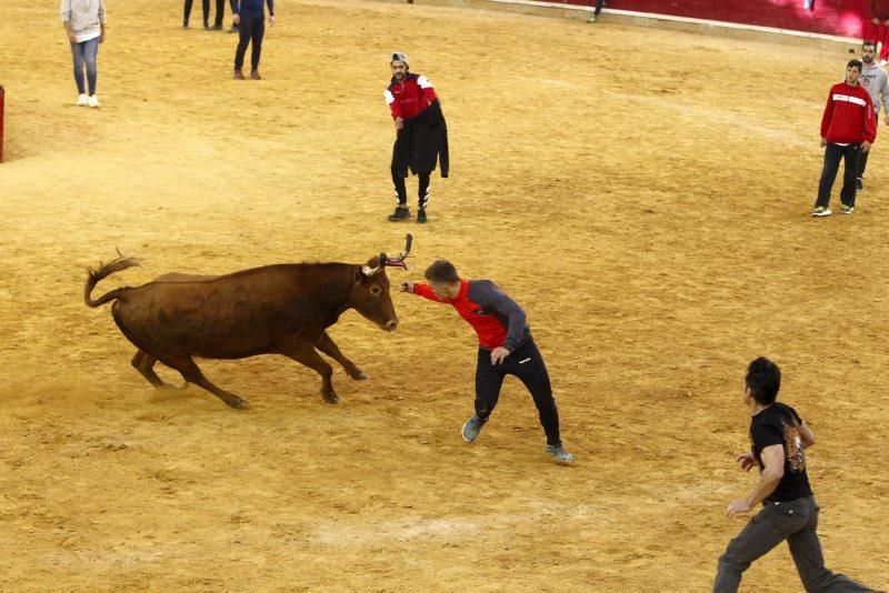 Vaquillas del 9 de octubre