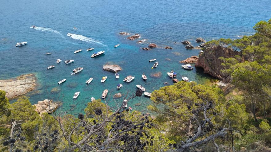 Despleguen una xarxa d&#039;informadors ambientals en cales protegides de la Costa Brava per l&#039;augment de barques