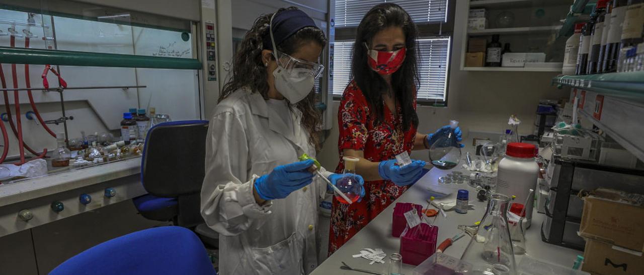 Investigadores en un laboratorio de la UMH.