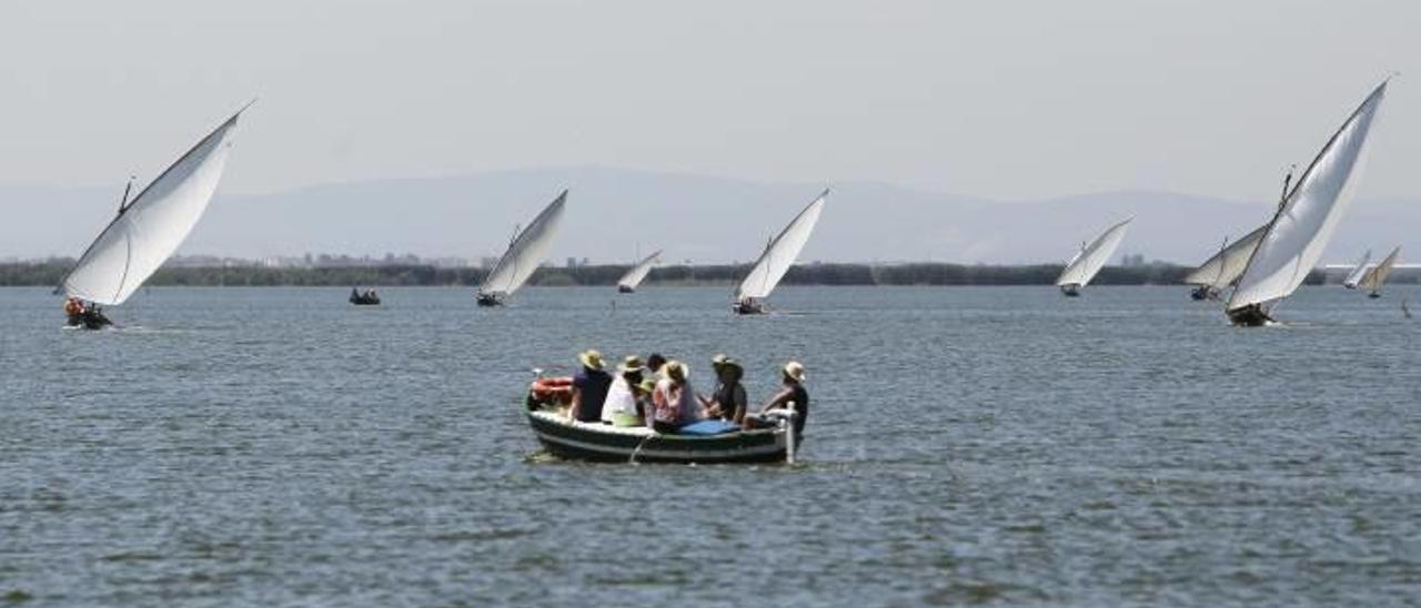 Cullera apoyará que l&#039;Albufera sea declarada Reserva de la Biosfera