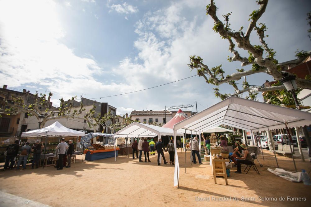 Mercat de les Herbes de la Ratafia a Santa Coloma de Farners 2018