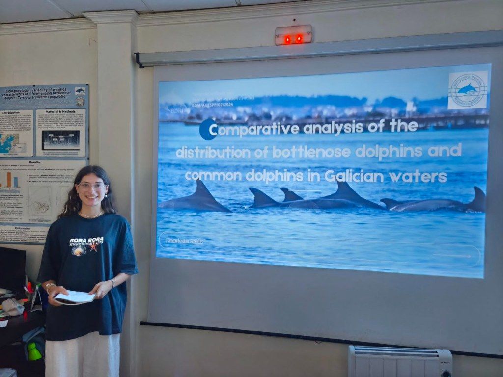 Biólogos, doctores y estudiantes del BDRI hacen un estrecho seguimiento de los mamíferos marinos en las rías de Vigo, Pontevedra y Arousa.