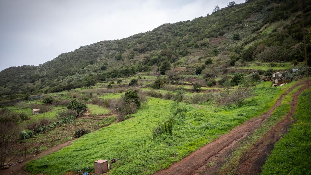 Tenerife Vaciada - Las Portelas
