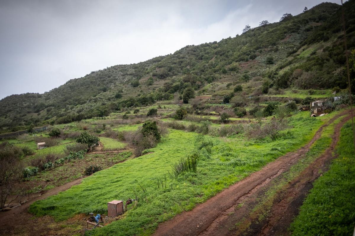 Así es la vida en Las Portelas, localidad de Buenavista del Norte con apenas unos pocos habitantes.