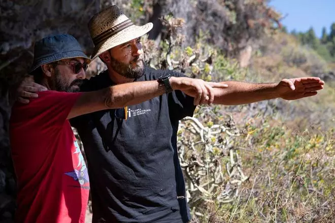 Las huellas 'palmeras' de Indiana Jones