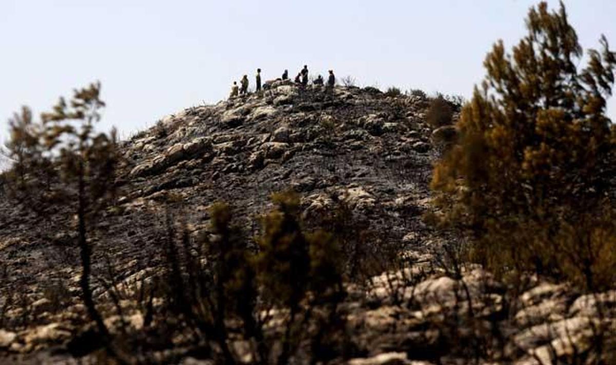 El incendio en el parque natural de Sierra Mariola ha calcinado 22 hectáreas