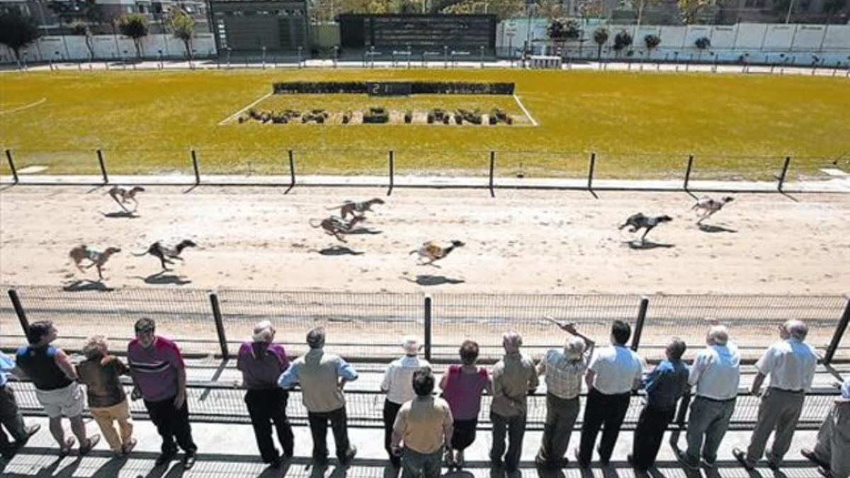 Carrera matinal 8 Sesión en el Canódromo Meridiana, en septiembre del 2003, cuando el público ya empezaba a ser escaso.