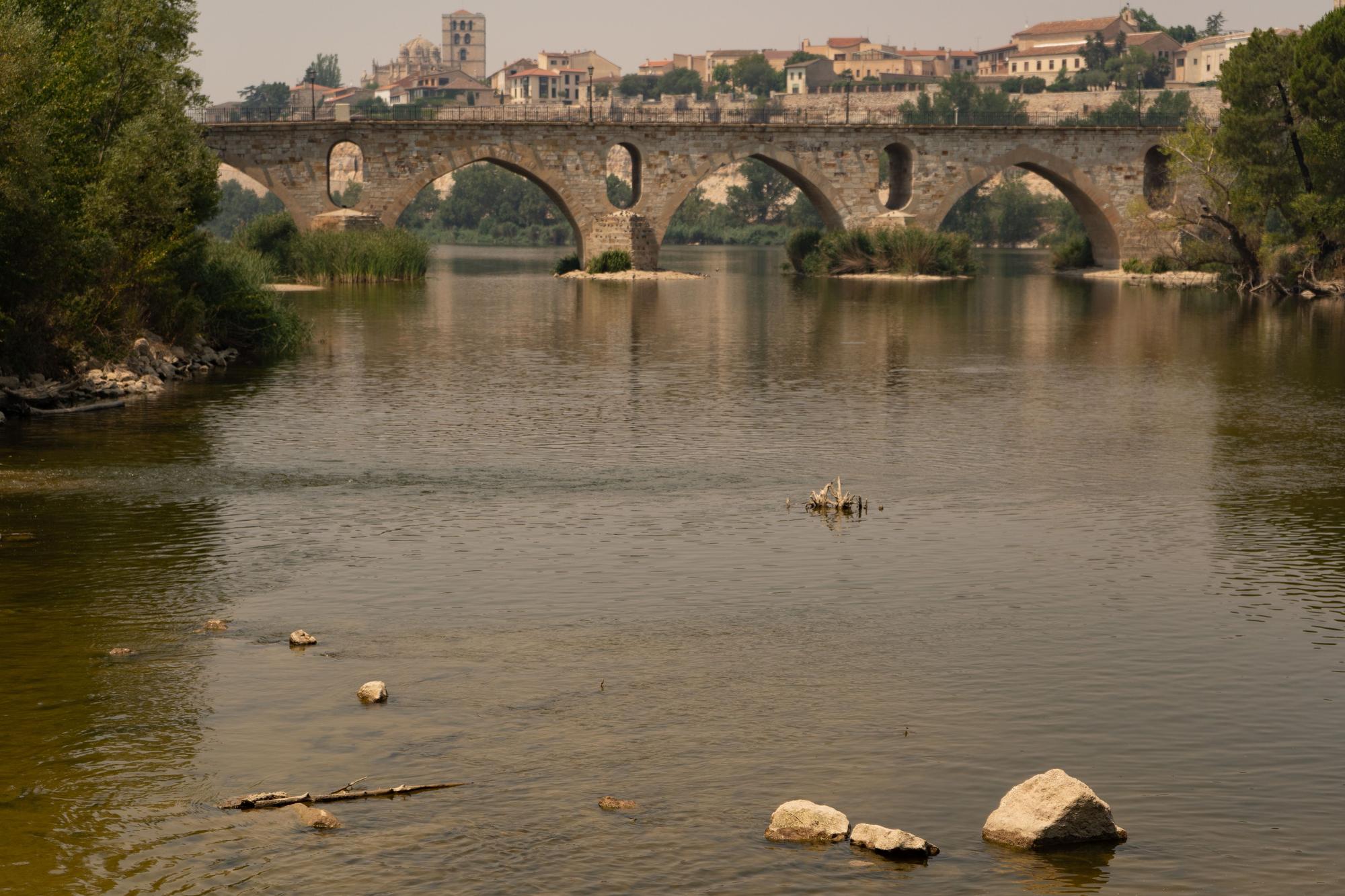 El caudal del río Duero en Zamora, por debajo del nivel ecológico