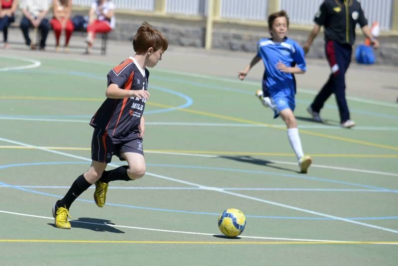 FÚTBOL: Rosa Molas - Pirineos B (Benjamin Superserie)