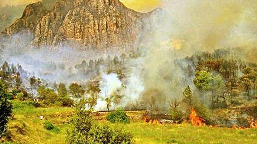L&#039;incendi que va cremar Montserrat del 1994 no va arribar a ajuntar-se amb el gran foc del Bages i el Berguedà