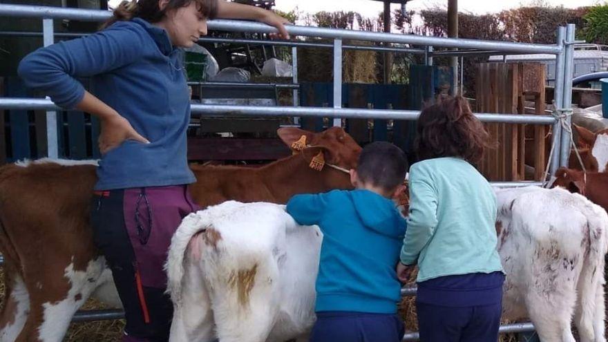 Escuela de ganaderos en Llanera: así preparan los más pequeños el gran desfile de San Isidro