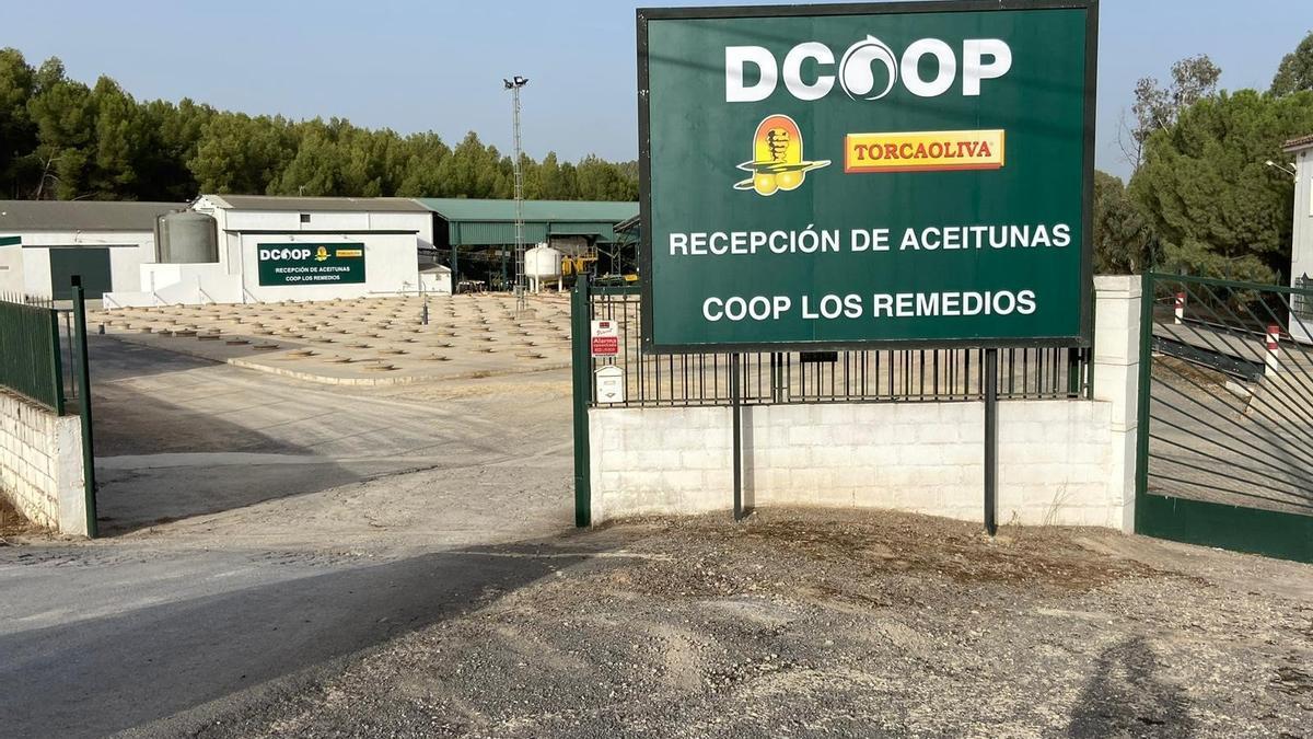 Punto de recepción de aceituna de Dcoop.