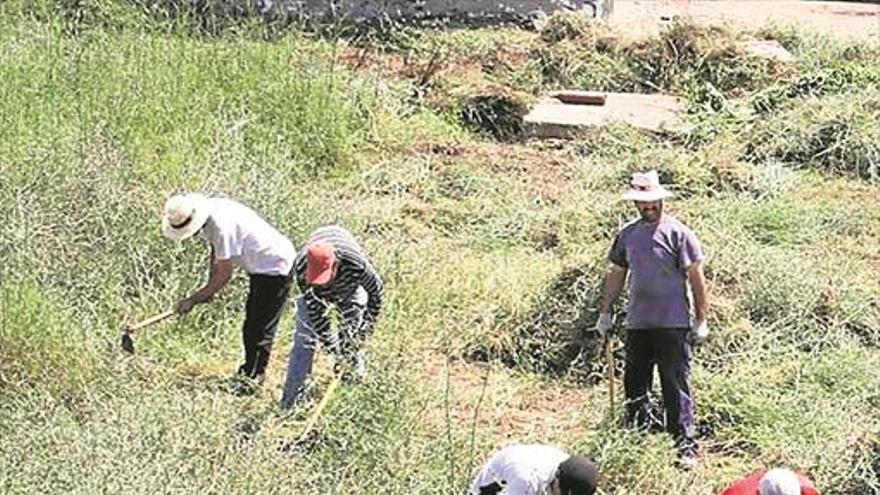 Emplean a 98 personas para limpiar viales y barrancos cara a la gota fría