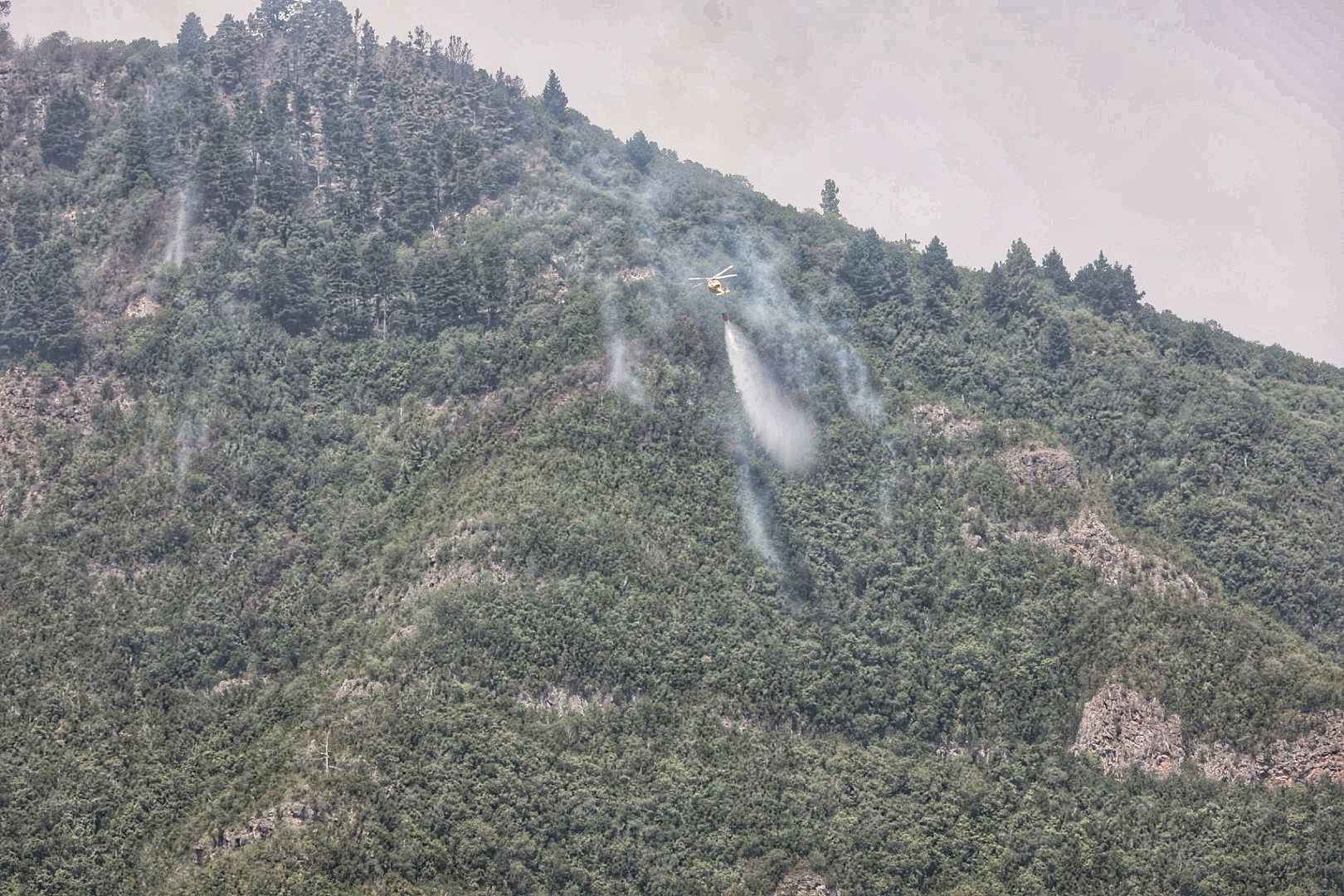 Incendio en el Norte de Tenerife (25/07/22)