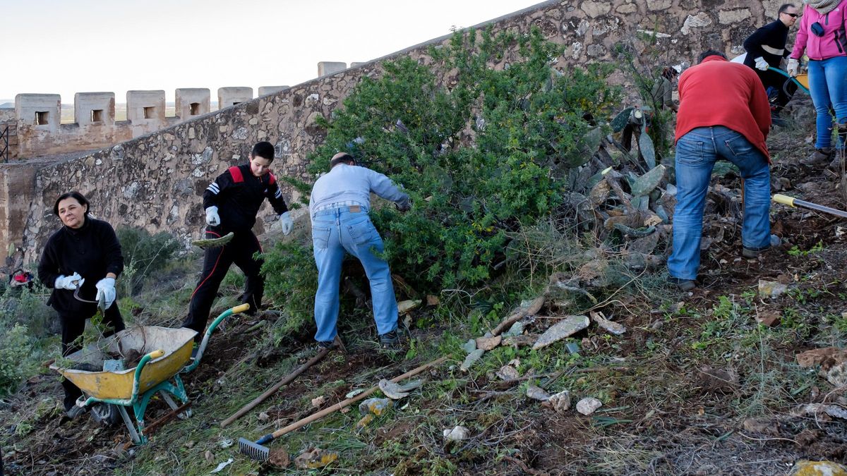 Voluntarios, en plena retirada de vegetación invasora en el Castillo.