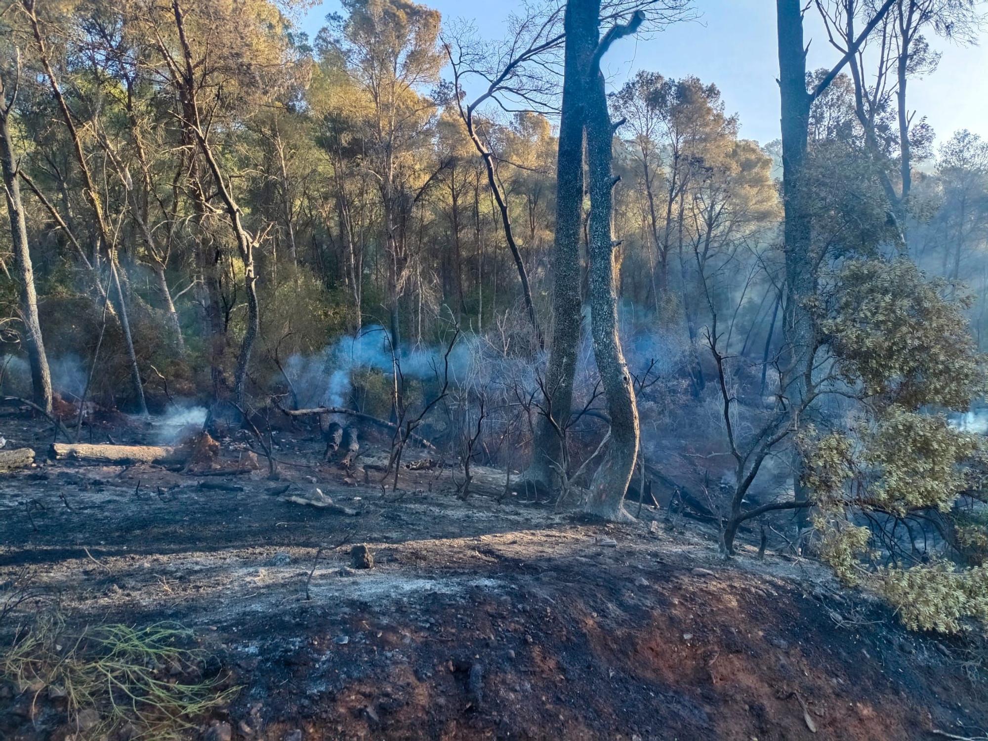 El incendio que amenaza el valle de la Murta, en imágenes