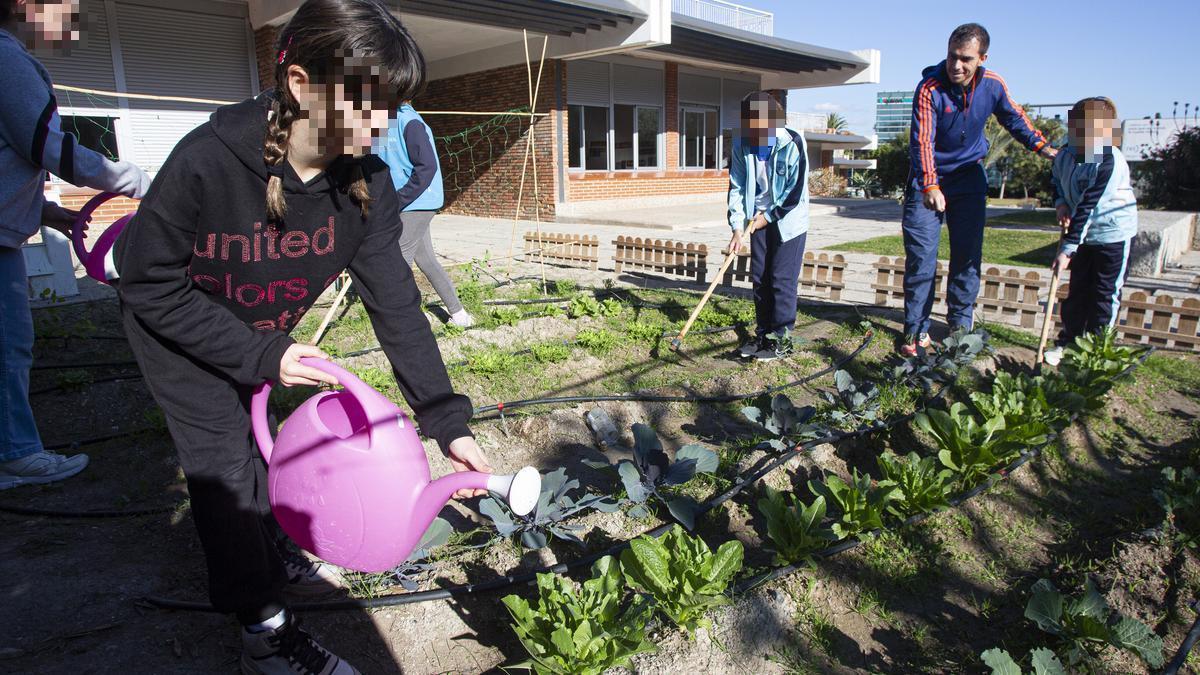 El huerto del colegio Santa Teresa es una escuela de vida para los niños