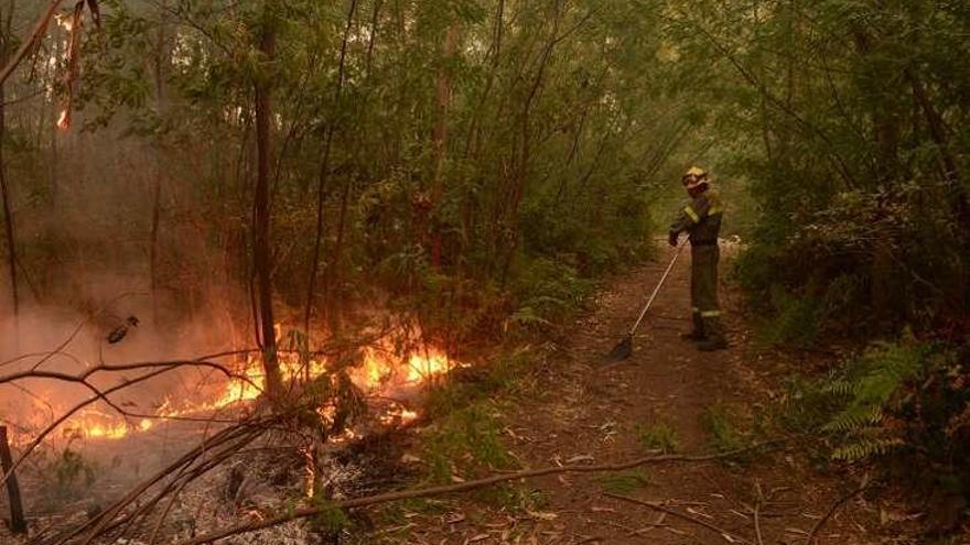 Incendio ayer tarde en Soutelo de Abaixo, en Caldas. // N. Parga