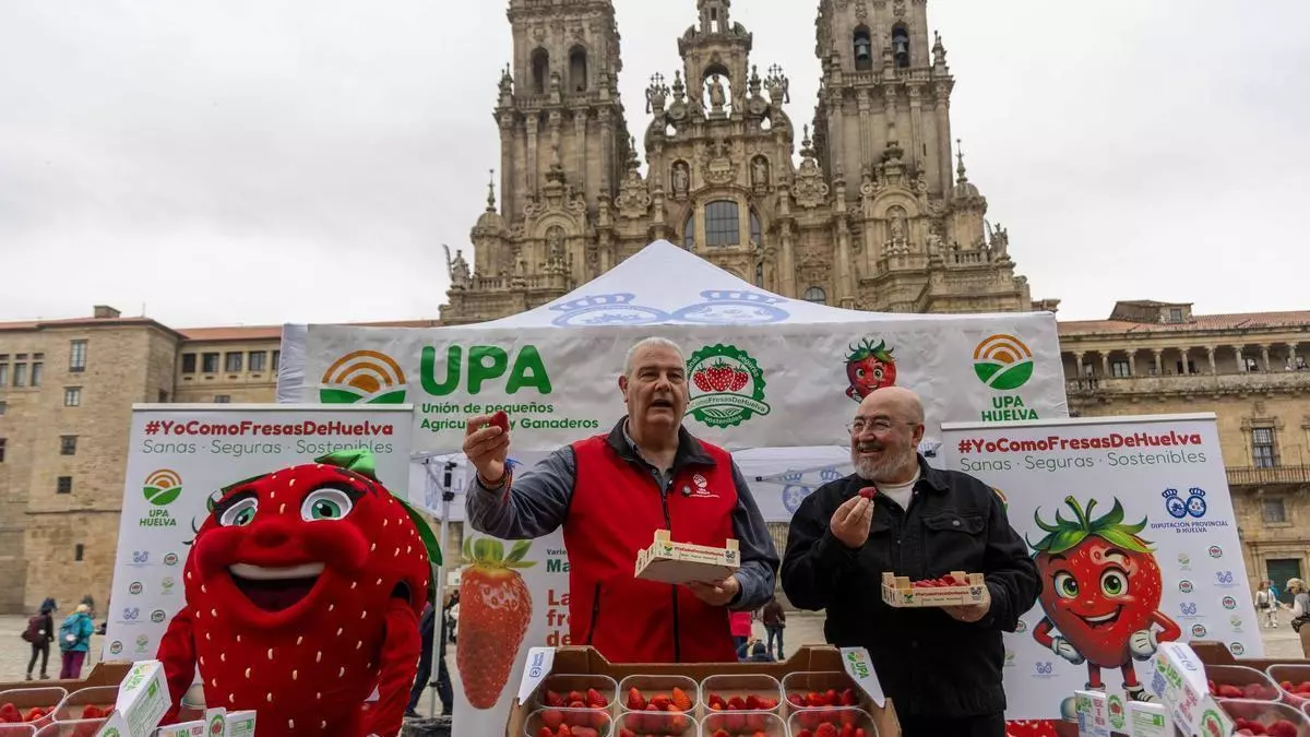 La calidad de las fresas de Huelva vuelve a conquistar el Obradoiro
