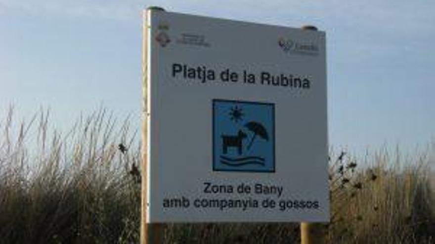 Cartell de la Rubina modificat