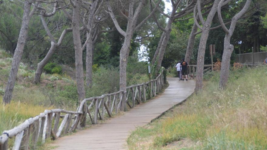 Les reformes tindran una durada de mes i mig o dos mesos.