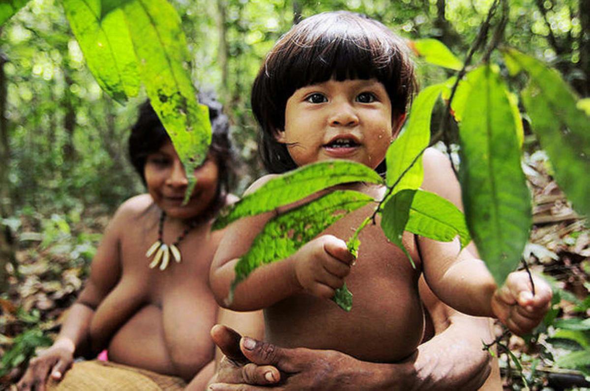 Campanya de l’associació Survival Internacional per a la supervivència de la tribu amazònica awà. Es calcula que només queden 355 individus repartits per diversos enclavaments de l’estat de Maranhao (Brasil).