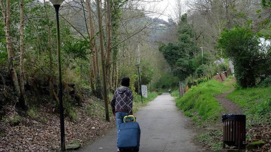 La zona donde fueron vistos los jabalíes.