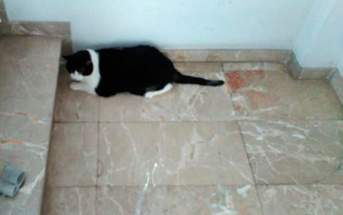 Una joven intoxicada por una olla en el fuego en la cocina de casa en Palma