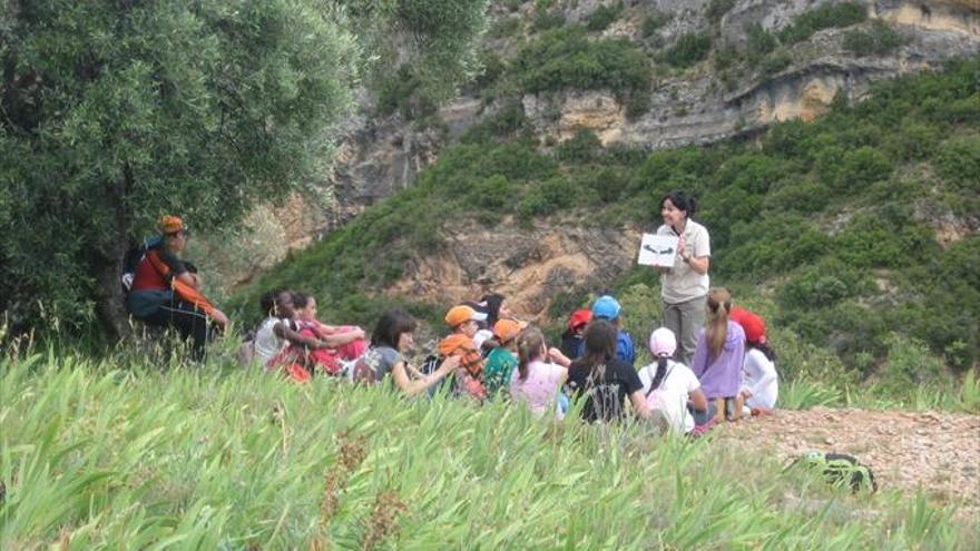 Aprendiendo en la naturaleza