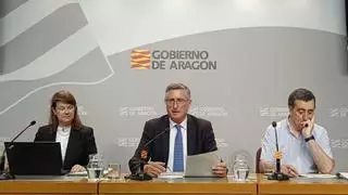 La DGA plantará dos millones de árboles para reforestar 24 municipios de Aragón
