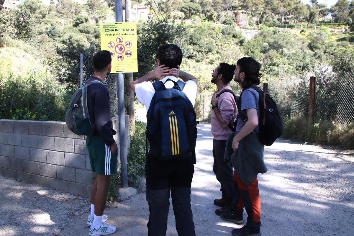 Personas que intentan entrar en la zona restringida de Collserola por la peste porcina
