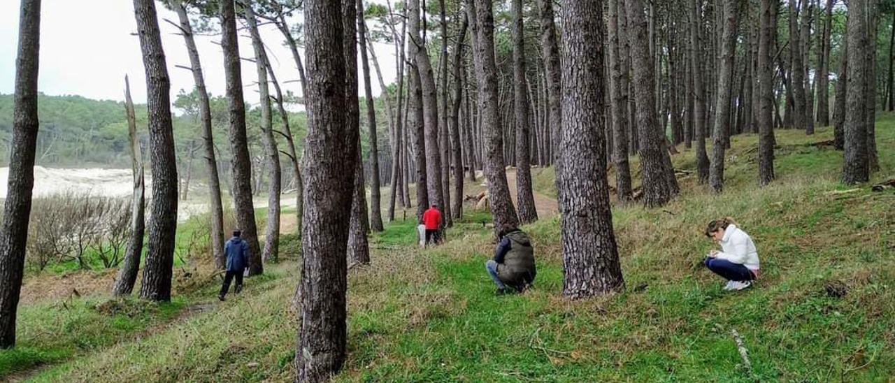 Un baño de bosque realizado anteriormente en Cabo Home.