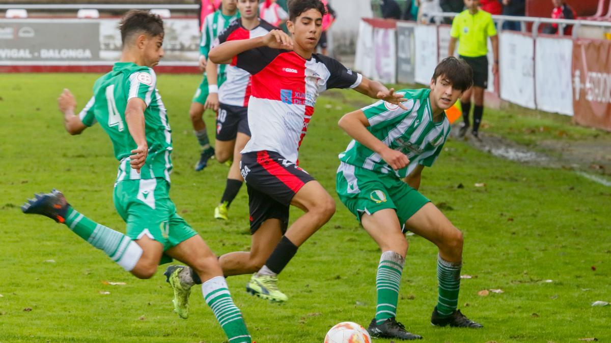 Los arlequinados contarán con bajas importantes para medirse al cuadro sportinguista.