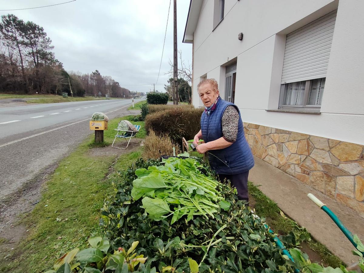 Elvira, vendedora de grelos en la N-550 a sus 86 años: "Son los mejores del mundo"