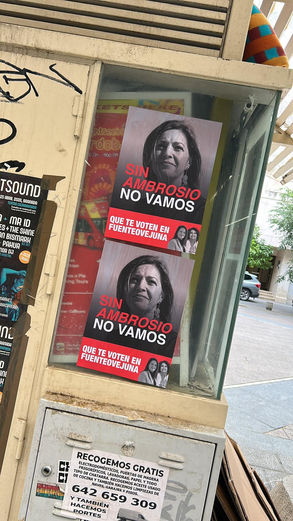 Carteles con la imagen de Isabel Ambrosio en el centro de Córdoba en la zona del centro.