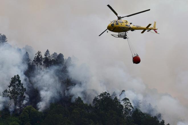 Incendio forestal que afecta a Peñaflor y Vega de Anzo